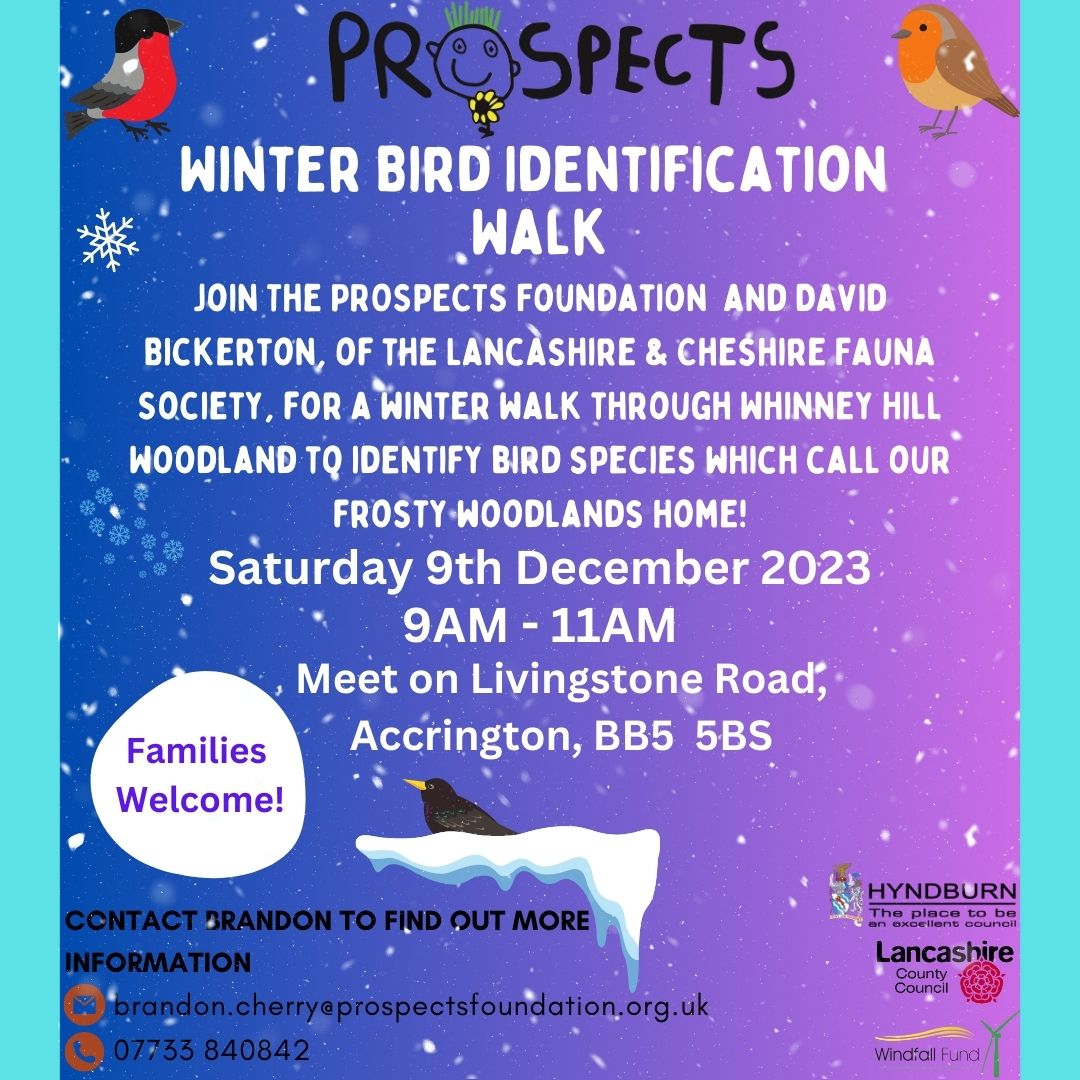 Winter Bird Identification Walk Prospects