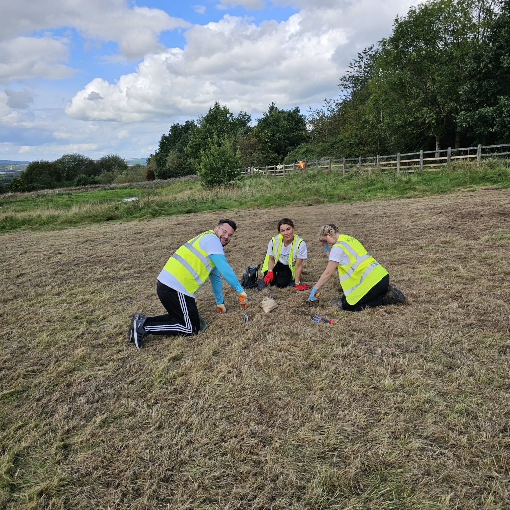 PEEL PARK POLLINATORS AT PEEL PARK AND THE COPPICE LNR – Prospects