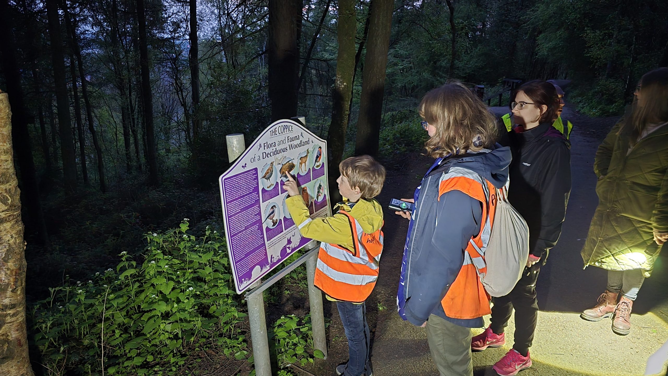 Wildlife Walks